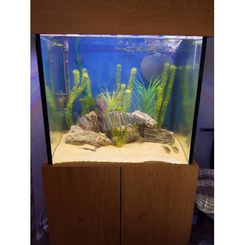 fish tank 200 litres