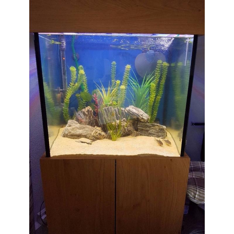 fish tank 200 litres