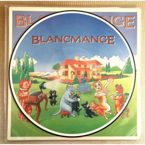 Blancmange Happy Families LP Picture Disc SHPD 8552 London UK 1982