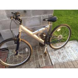 Mountain bike