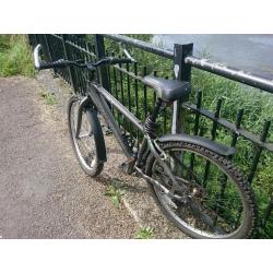 Mountain bike