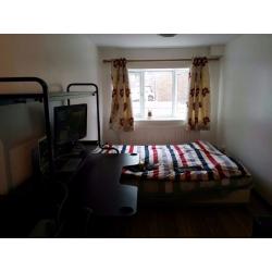 Canary Wharf big brand new double room available now