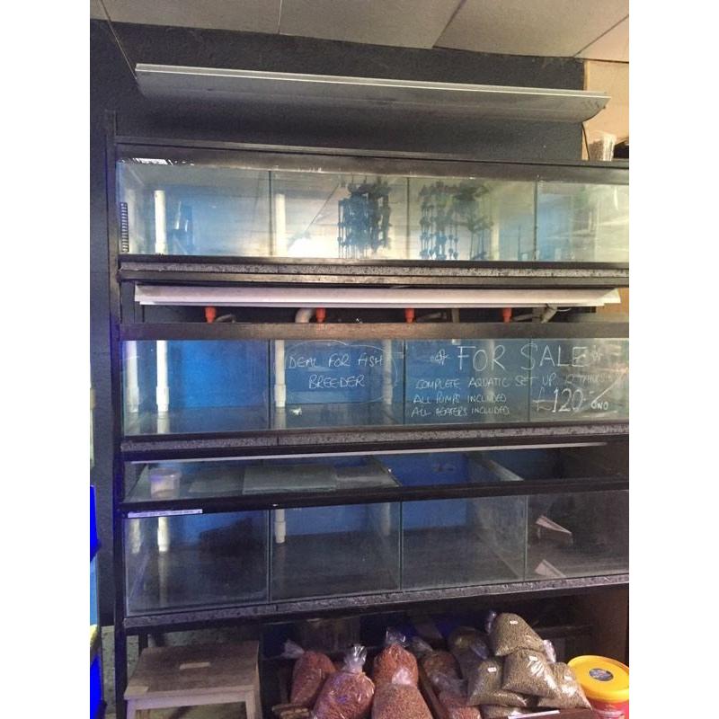 Display or Breeding Fish Tanks