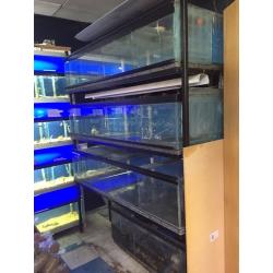 Display or Breeding Fish Tanks
