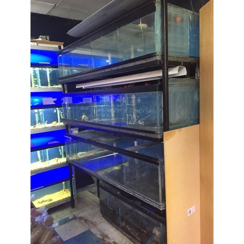 Display or Breeding Fish Tanks