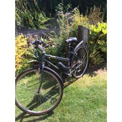 Ladies bicycle