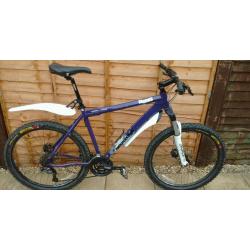 Diamond back Apex MTB