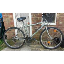 Mens mountain bike