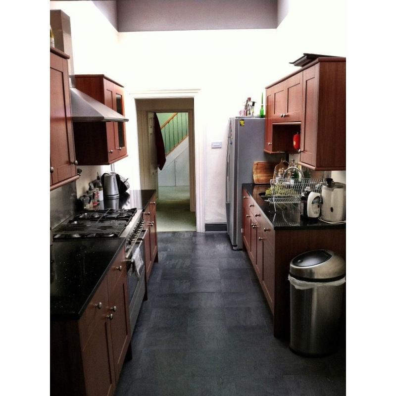 GREAT DOUBLE ROOM TO RENT IN SPACIOUS TOP FLOOR FLAT (BILLS INC)