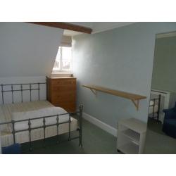 GREAT DOUBLE ROOM TO RENT IN SPACIOUS TOP FLOOR FLAT (BILLS INC)