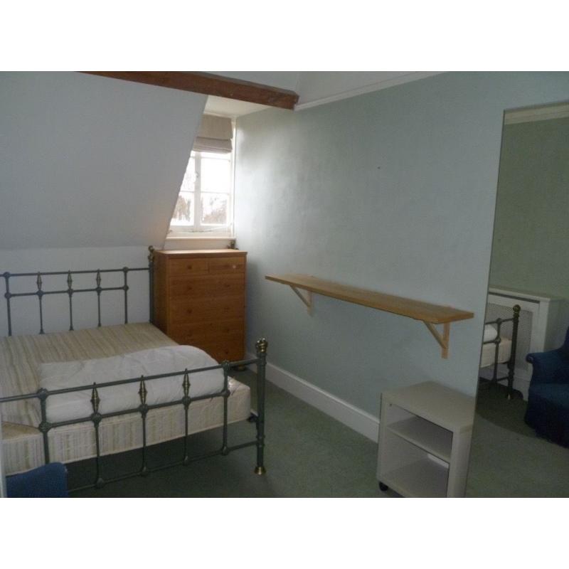 GREAT DOUBLE ROOM TO RENT IN SPACIOUS TOP FLOOR FLAT (BILLS INC)