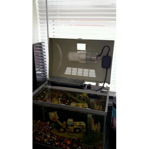Fish tank