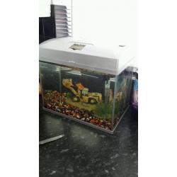 Fish tank