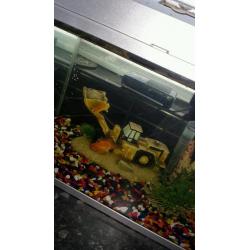 Fish tank