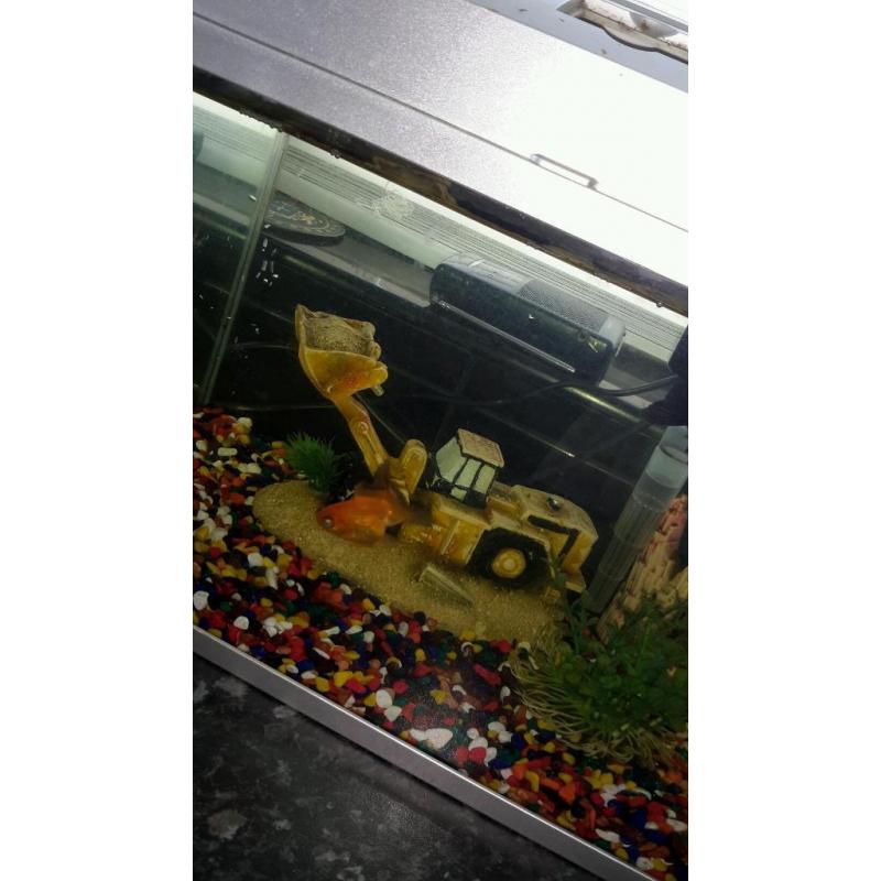 Fish tank