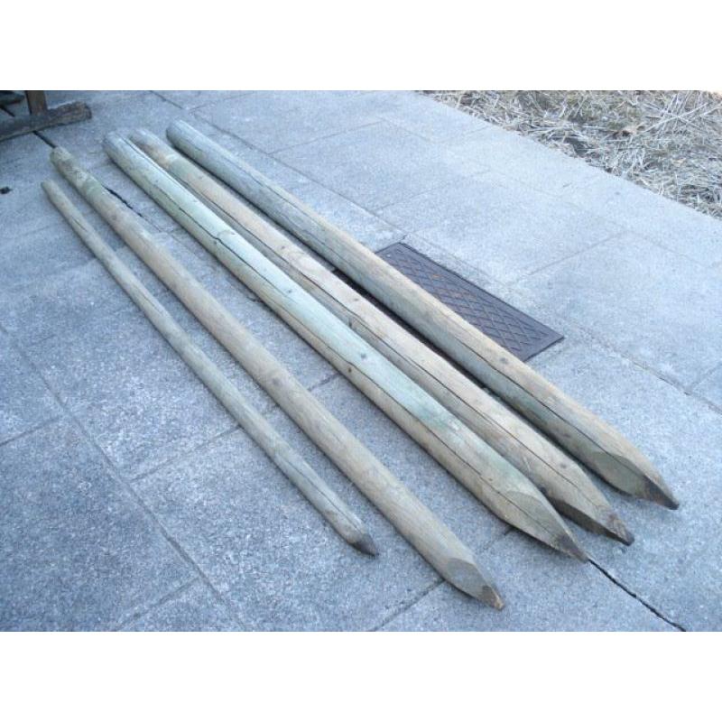 Garden posts.