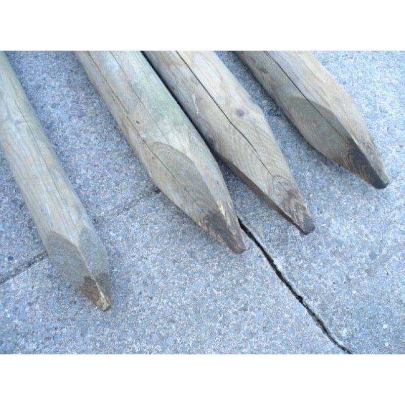 Garden posts.