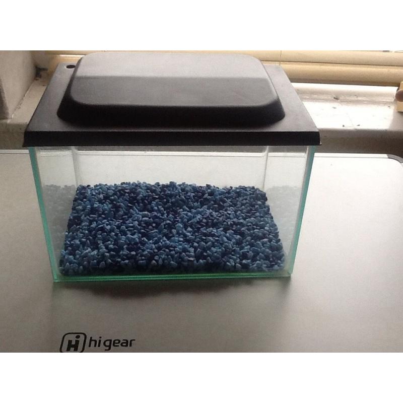 Small fish tank