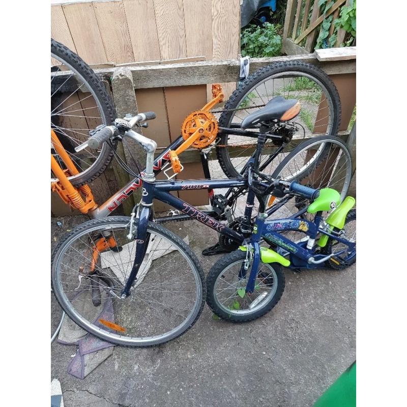 Bices