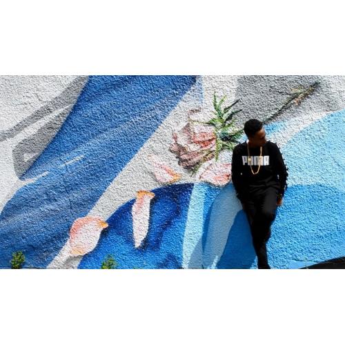 Music producer needed