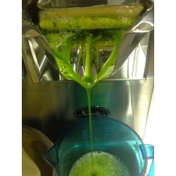 Norwalk model 280 cold press Juicer -