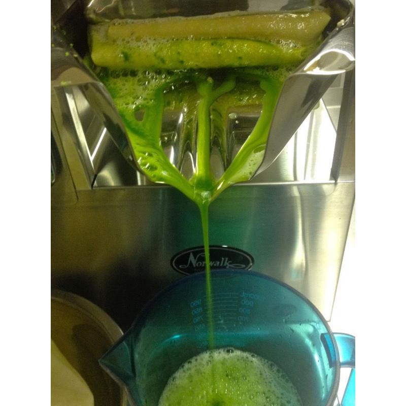 Norwalk model 280 cold press Juicer -