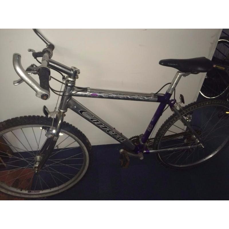 Carerra Bike