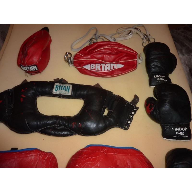 Collection of boxing / martial arts pads,gloves etc