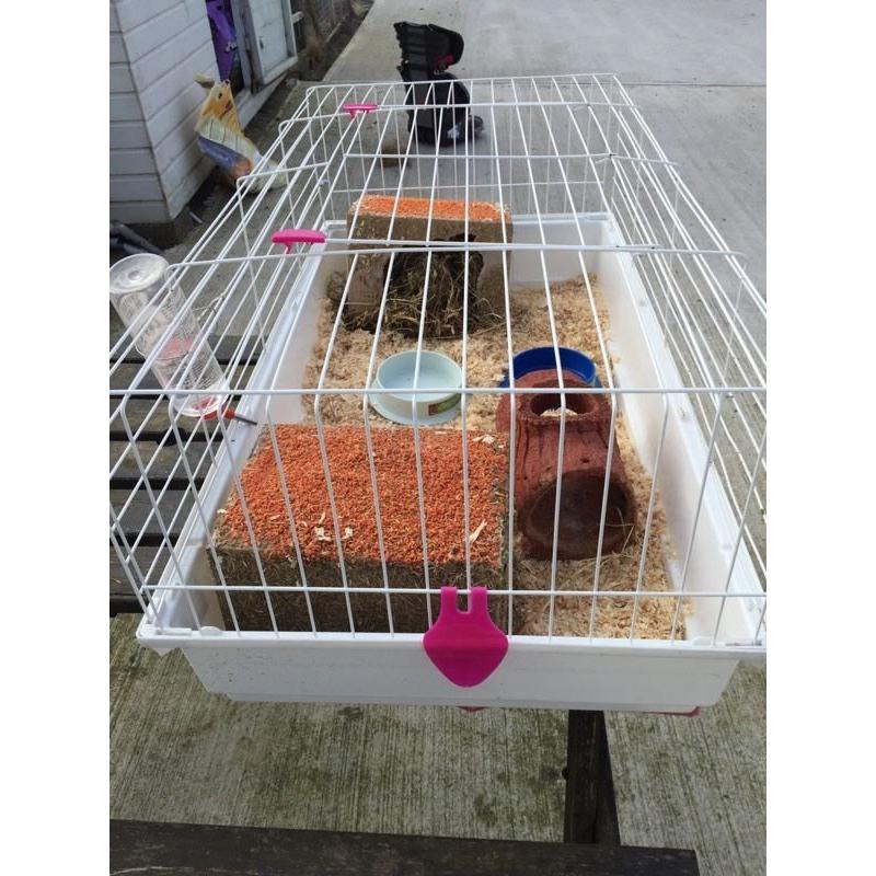 Large indoor cage for small rabbits or Guinea pigs