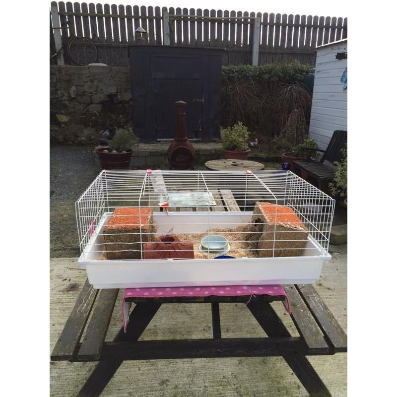 Large indoor cage for small rabbits or Guinea pigs