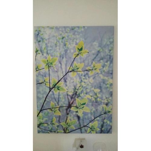 CANVAS PICTURE