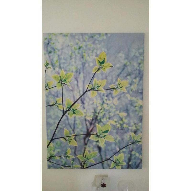 CANVAS PICTURE