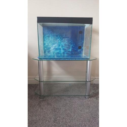 Aquarium fish tank