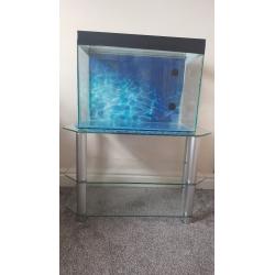 Aquarium fish tank