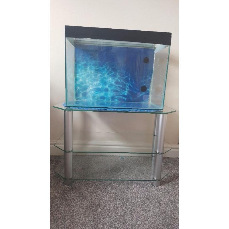 Aquarium fish tank