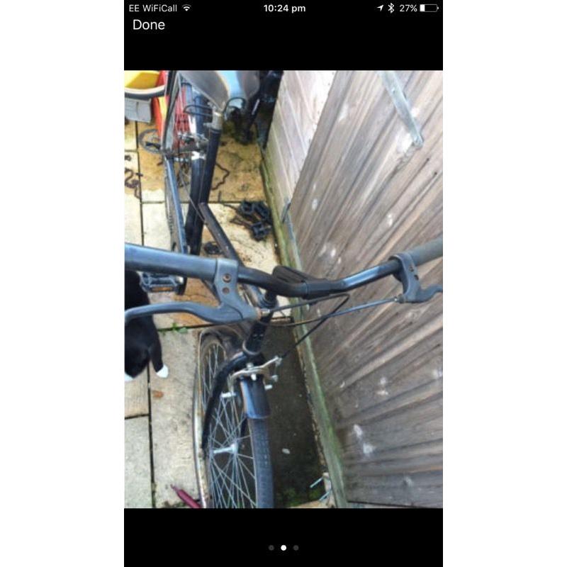 Ladies Town Bike, Can deliver