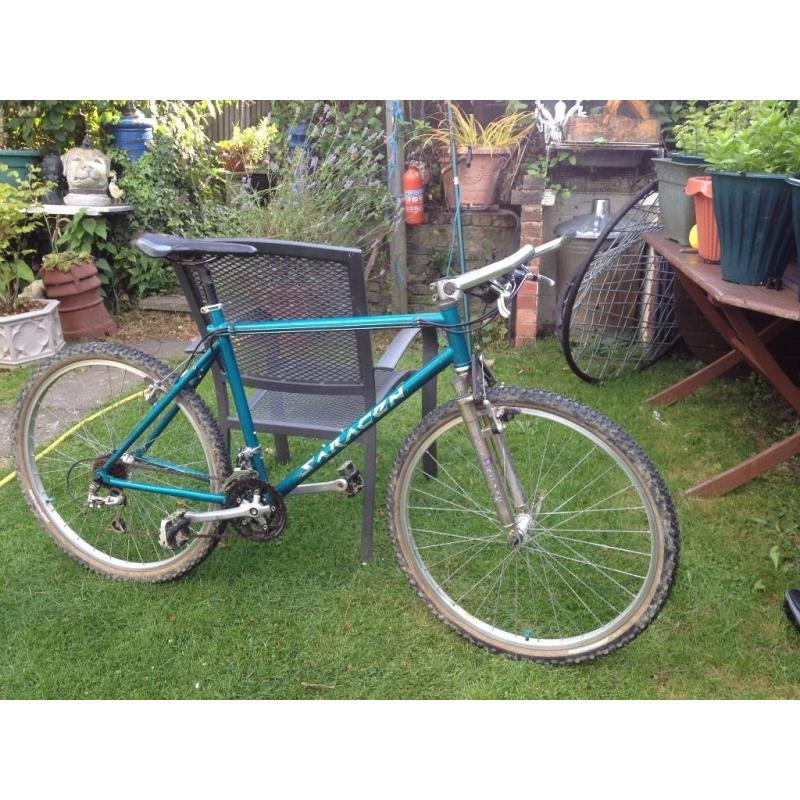 Mans Moutain Bike