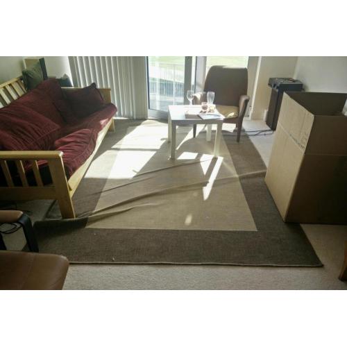 Large IKEA rug "Dragor" 3mx2m