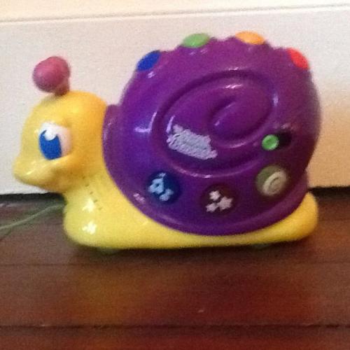Stroll buddies pull along snail