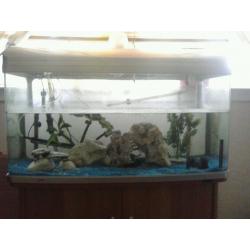 Aquarium AR-980