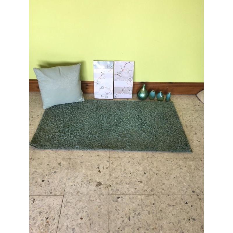 Teal rug, canvasses, cushions