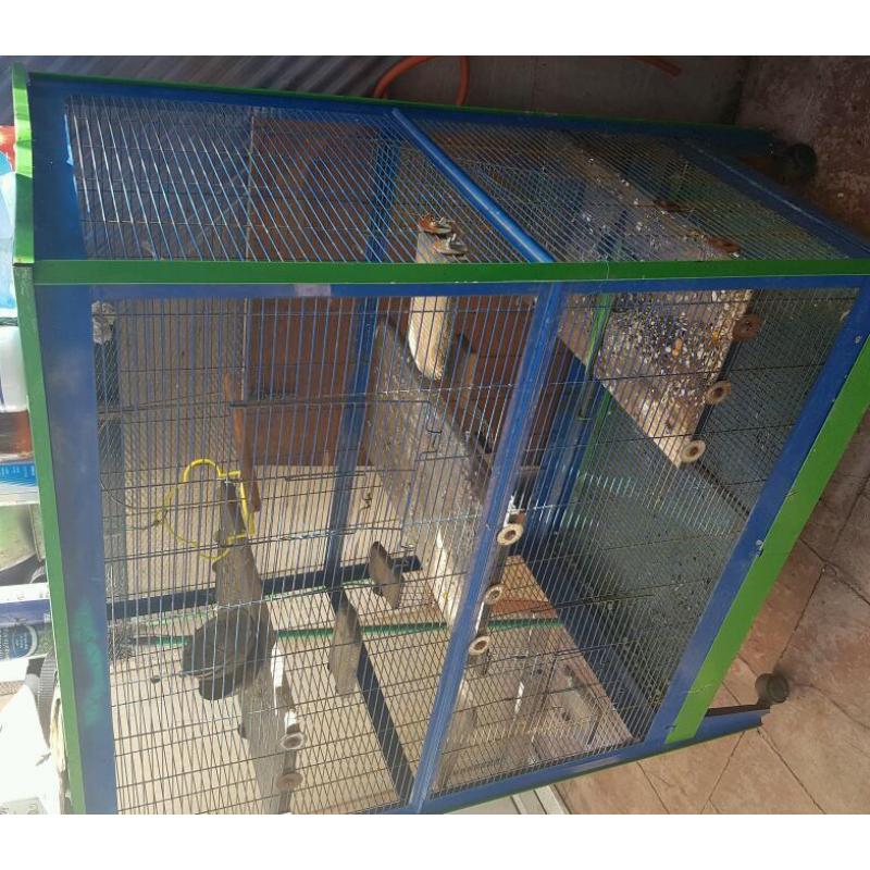 cage and birds for sale