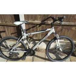 Mountain bike