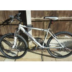 Mountain bike