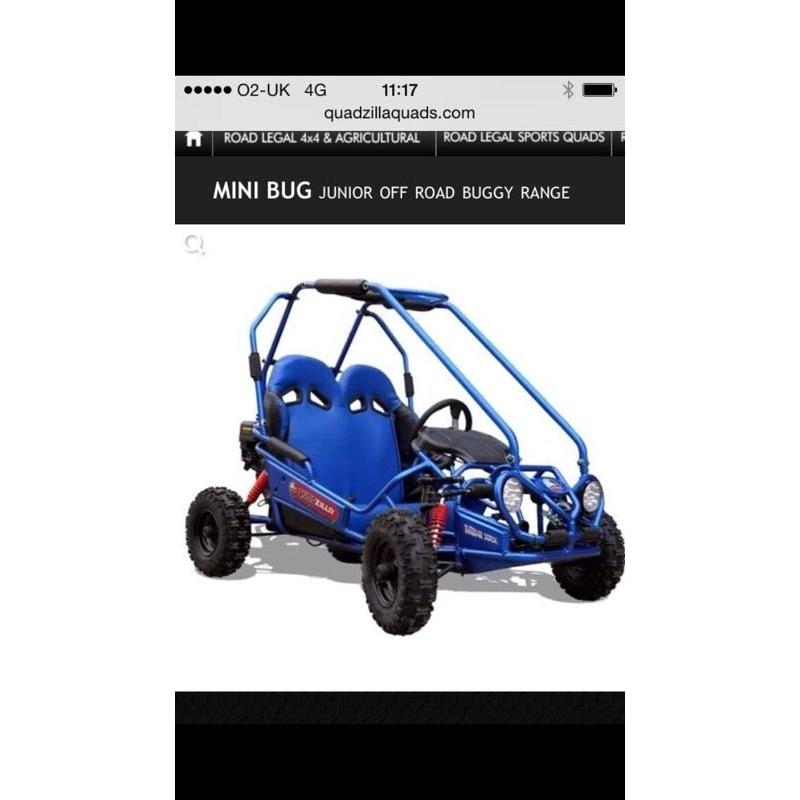 Kids petrol go kart