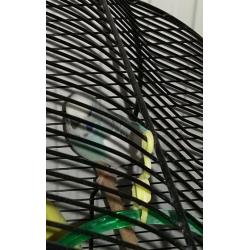 Friendly budgie