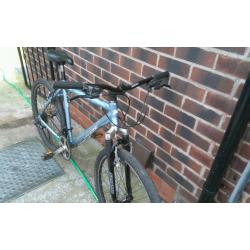 Coyote mountain bike