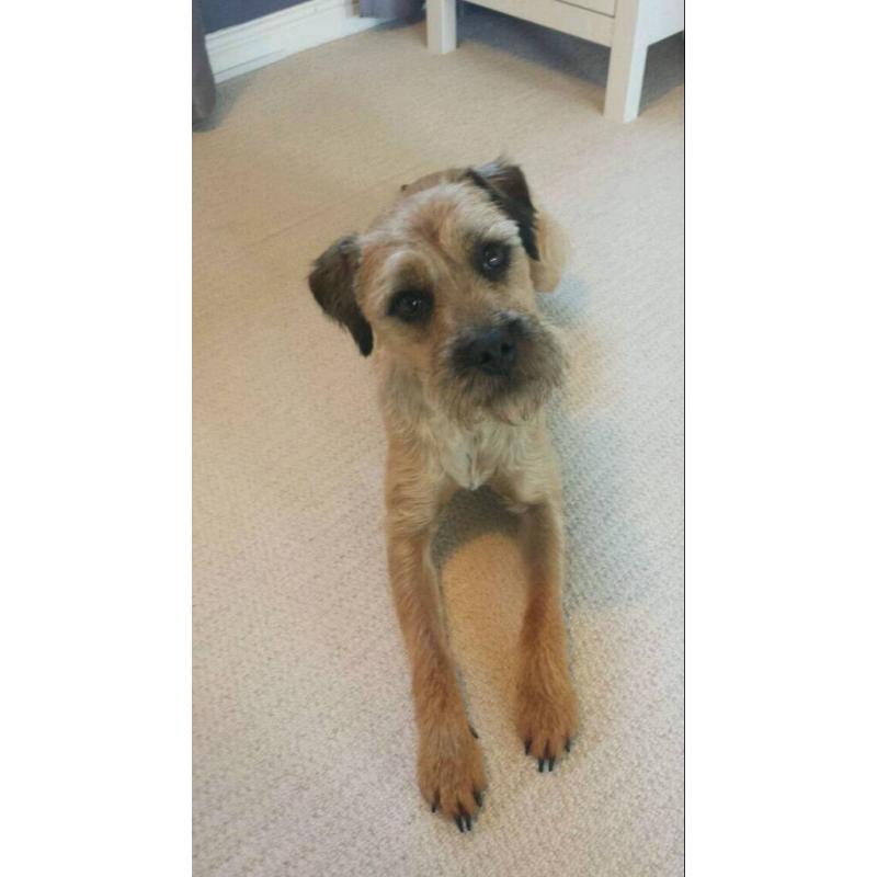 Best Friend needs a new home