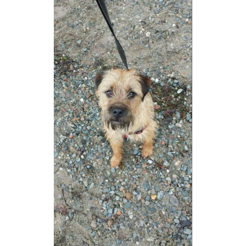 Best Friend needs a new home