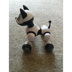 Robot dog